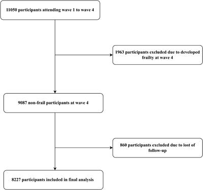 Associations of physical activity participation trajectories with subsequent motor function declines and incident frailty: A population-based cohort study